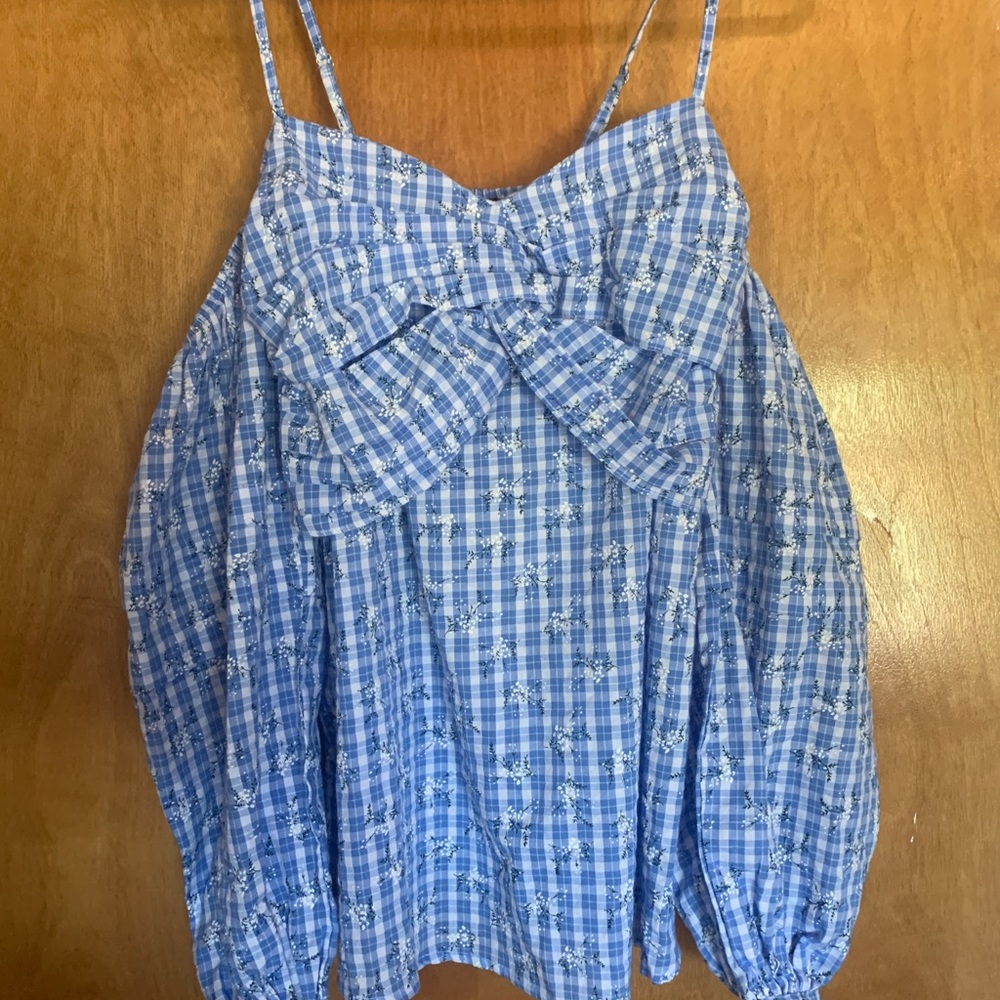 Blue Blouse